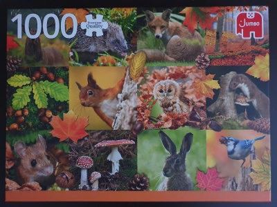1000 Tiere im Herbst.jpg
