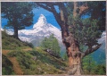1500 Matterhorn (2)1.jpg