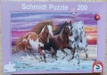200 Wildes Pferde Trio.jpg