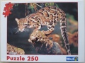 250 Leopard, Brasilien.jpg