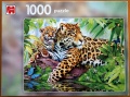 1000 Jaguar.jpg