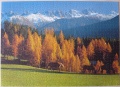 1000 Herbst in Tirol1.jpg