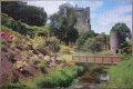 1000 Blarney Castle and Gardens1.jpg