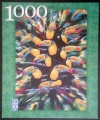 1000 Toucans Can.jpg