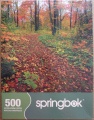 500 Autumn Path.jpg