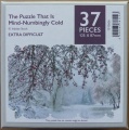 37 The Puzzle That Is Mind-Numbingly Cold.jpg