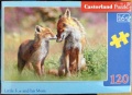 120 Little Fox and his Mum.jpg
