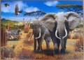500 Afrikanische Savanne1.jpg