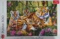 500 Family of tigers.jpg