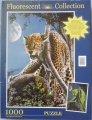 1000 Single Cheetah.jpg