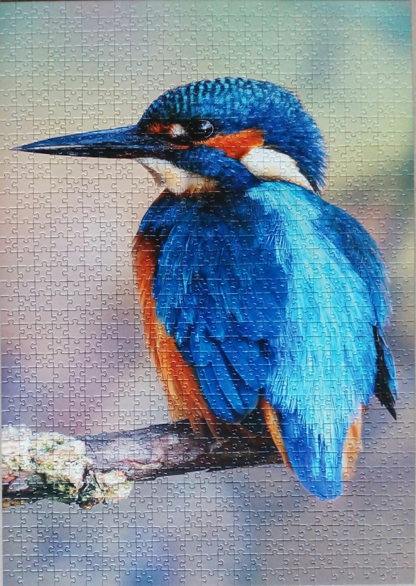 1000 Kingfisher, United Kingdom - Jigsaw-Wiki