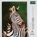 1000 Zebra (2).jpg