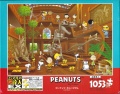 1053 Peanuts - Museum.jpg