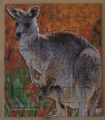 48 Eastern Grey Kangaroo1.jpg