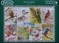 1000 Winter Birds.jpg