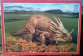 160 Styracosaurus.jpg
