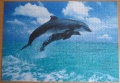 1000 Springende Delfine (1)1.jpg