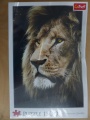 1500 Lions portrait.jpg