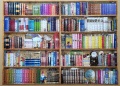 1000 Bookshelves1.jpg