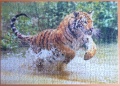 500 Bengalischer Tiger1.jpg
