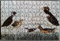 150 Vogel-Minipuzzle1.jpg