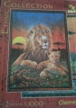1000 Lion Sunset2.jpg