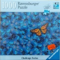 1000 Butterfly Challenge.jpg