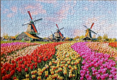 1000 Dutch Windmills1.jpg