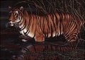 1000 Der Tiger.jpg