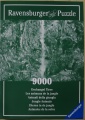 9000 Dschungel Tiere3.jpg