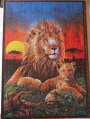 1000 Lion Sunset1.jpg