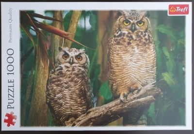 1000 Owls (4).jpg
