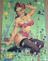 1500 Pin Up1.jpg