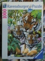 1000 Tigerfamilie.jpg