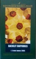 40 Backlit Daffodils.jpg