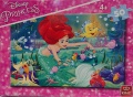50 Disney Princess Ariel and Beauty A.jpg