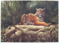 1000 (Tiger auf dem Baumstamm)1.jpg