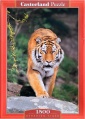 1500 Siberian Tiger.jpg