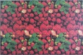 1000 Erdbeeren1.jpg