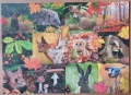 1000 Tiere im Herbst1.jpg