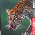 1000 Leopard (1).jpg
