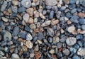 40 Pebbles1.jpg