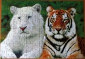 100 Tiger Brothers1.jpg