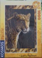 1000 Leopard (4).jpg