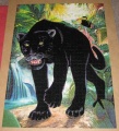 1000 Schwarzer Panther1.jpg