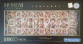 1000 The Sistine Chapel ceiling (1).jpg