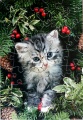 40 Festive Kitten1.jpg