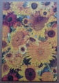500 Sunflower Montage1.jpg