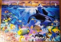 500 Ocean Wonders1.jpg