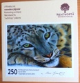 250 Himalayan Eyes Snow Leopard.jpg